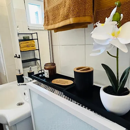 Brno Central Apartment 브르노