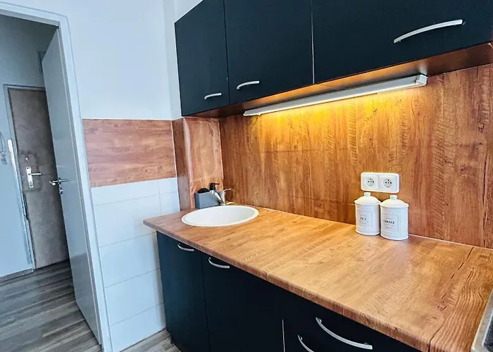 Διαμέρισμα Brno Central Apartment *